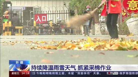  波鸿逆袭成功逃离降级区  